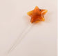 Glass Automatic Self Watering Bird Watering Cans Flowers Plant Decorative Clear Glass Watering Device Houseplant
